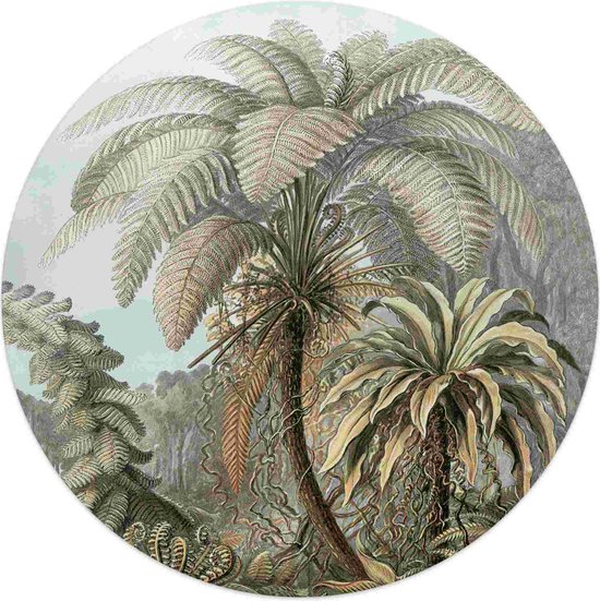 Acrylglas Palmboom