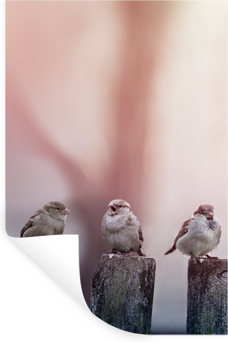 Muurstickers - Sticker Folie - Vogels - Mussen - Paaltjes - Hout - 60x90 cm - Plakfolie - 