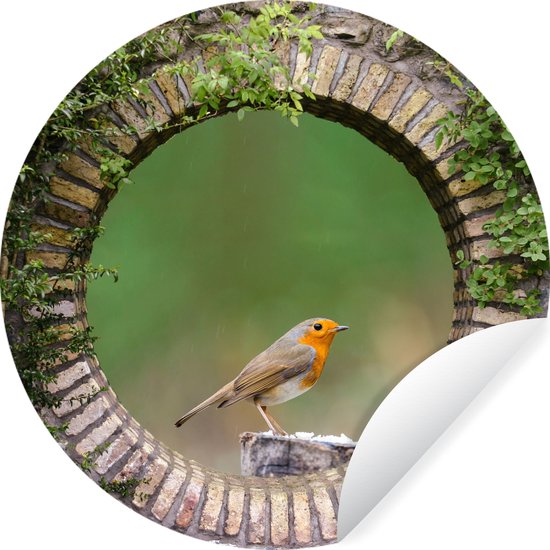 WallCircle - Stickers muraux - Cercle de papier peint - Vogel - Voir à travers - Robin - 30x30 cm - Cercle mural - Autocollant - Autocollant de papier peint rond