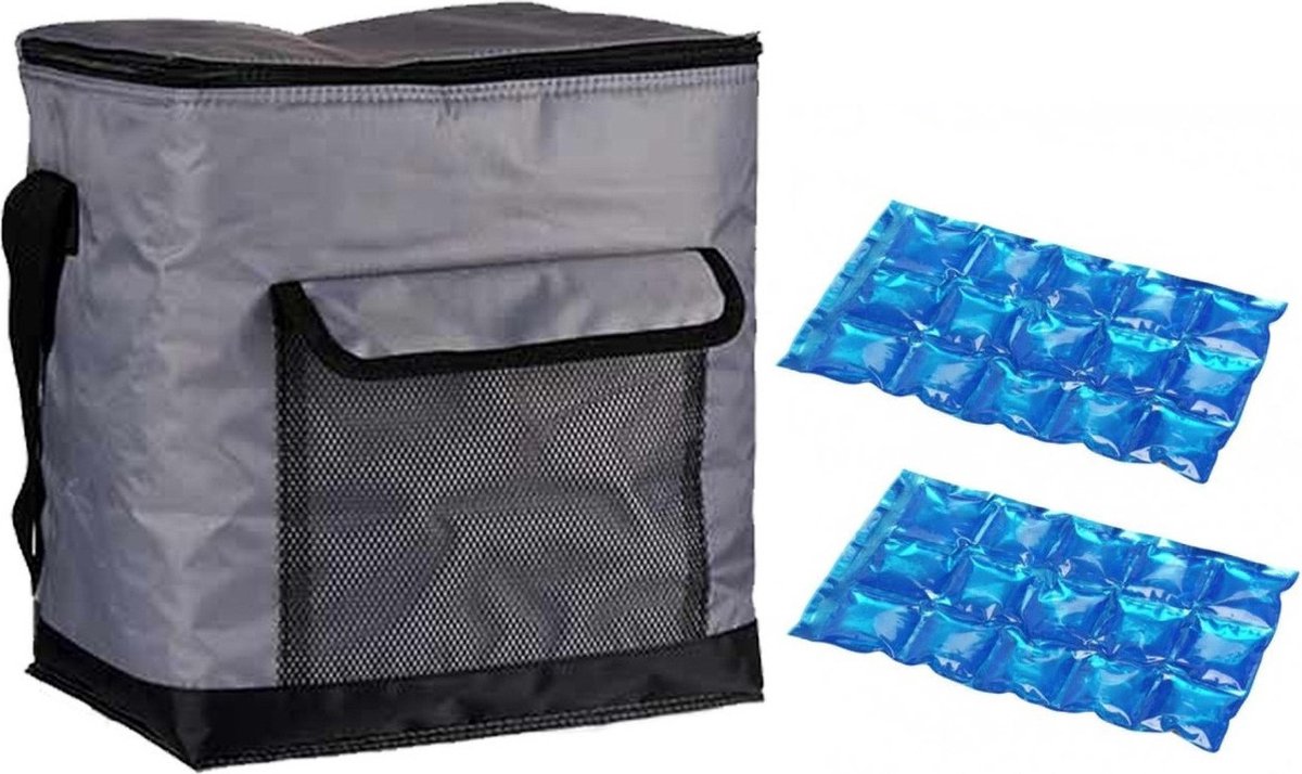 Strand/camping koeltas medium size - incl 2x koelelement - 31 x 23 x 33 cm - 2 vakken - grijs