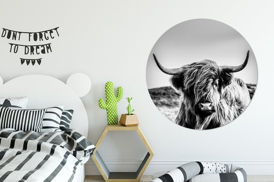 WallCircle - Cercle Mural - Cercle Mural - Vache - Highlander écossais - Zwart - Wit - Animal - Nature - Sauvage - Aluminium - Dibond - 120x120 cm - Intérieur et Extérieur XXL