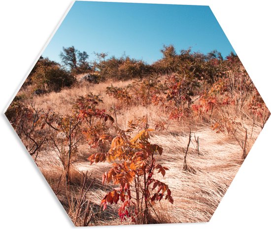 PVC Schuimplaat Hexagon - Landschap - Bomen - Bloemen - Planten - Wind - Kleuren - 50x43.5 cm Foto op Hexagon (Met Ophangsysteem)