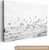 Canvas Schilderij Zee - Vogels - Natuur - Zeemeeuwen - 120x80 cm - Wanddecoratie