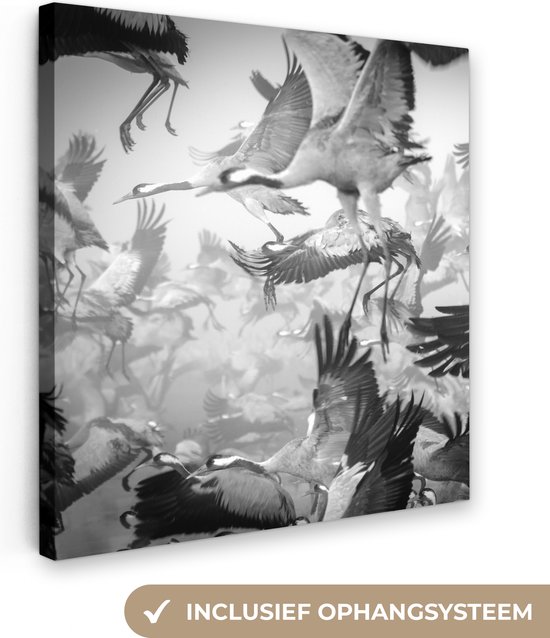 Canvas Schilderij Kraanvogel - Zwart wit - Dieren - Vogels - 20x20 cm - Wanddecoratie