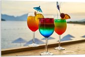 Acrylglas - Kleurrijke Cocktails met Uitzicht op Zee - 120x80 cm Foto op Acrylglas (Wanddecoratie op Acrylaat)