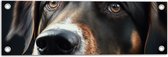Tuinposter – Close-up van Kop van Bruin met Zwarte Hond - 60x20 cm Foto op Tuinposter (wanddecoratie voor buiten en binnen)