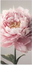 Poster Glanzend – Roze Pioenroos - 50x100 cm Foto op Posterpapier met Glanzende Afwerking