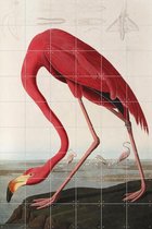IXXI Flamingo - Wanddecoratie - Dieren en insecten - 120 x 180 cm