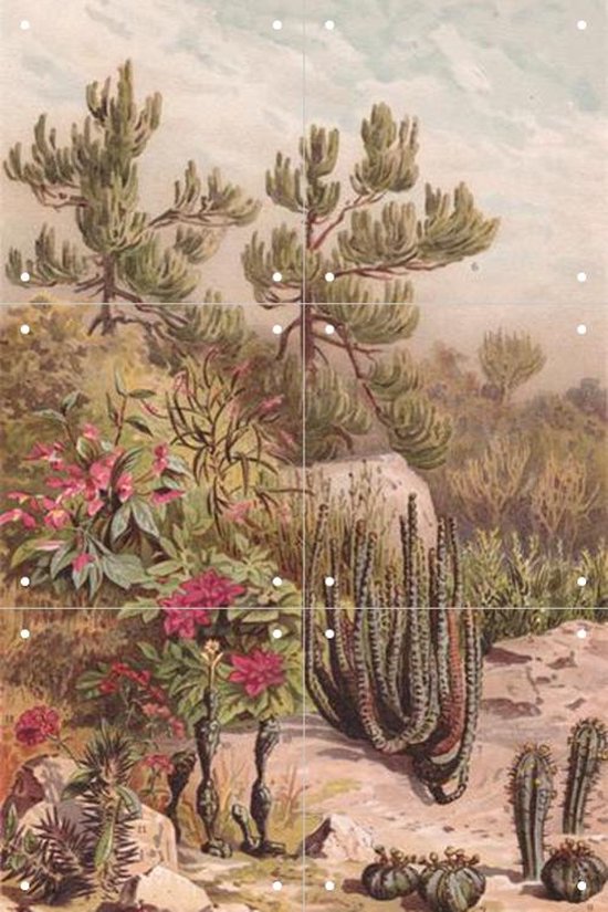 IXXI Euphorbiaceen - Wanddecoratie - Bloemen en Planten - 40 x 60 cm