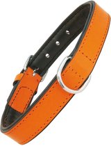 Dog collar Gloria Padded Orange (40 x 2 cm)