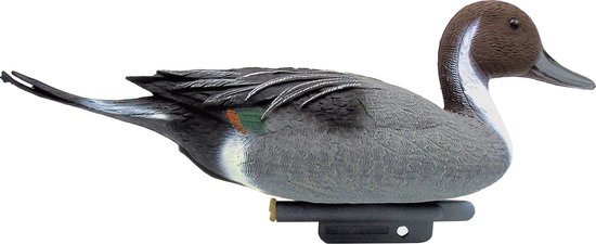 Krokodillen | | Krokodilachtigen | krokodil