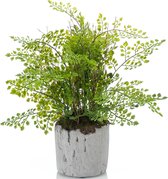 Groene kunstplant varen 28 cm in pot - Mooie decoratie kunstplanten voor binnen