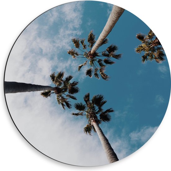 Dibond Muurcirkel - Onderaanzicht - Bomen - Palmbomen - Wolken - 50x50 cm Foto op Aluminium Muurcirkel (met ophangsysteem)