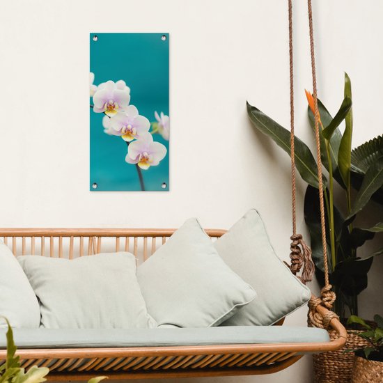 Poster de jardin Orchidée - Fleurs - Plante - Wit - Violet - 30x60 cm - Toile jardin - Poster extérieur