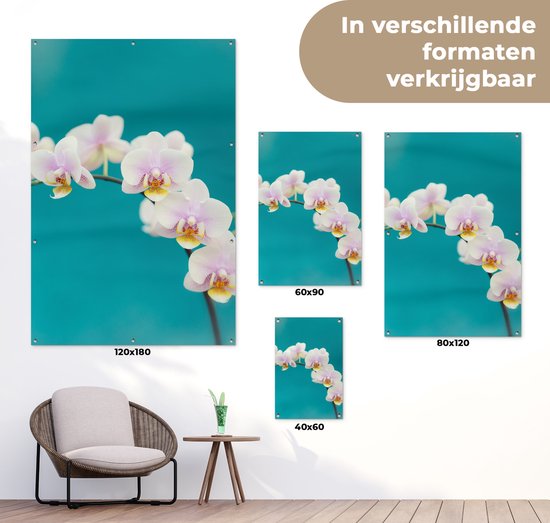 Décoration de jardin Orchidée - Fleurs - Plante - Wit - Violet - 40x60 cm - Poster jardin - Toile jardin - Poster extérieur