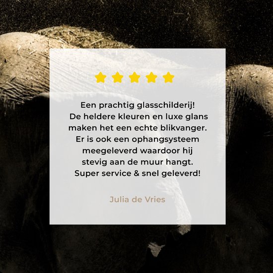 MuchoWow® Peinture sur verre 90x120 cm - Peinture sur verre acrylique - Éléphant - Boue - Animaux - Zwart - Photo sur verre - Peintures