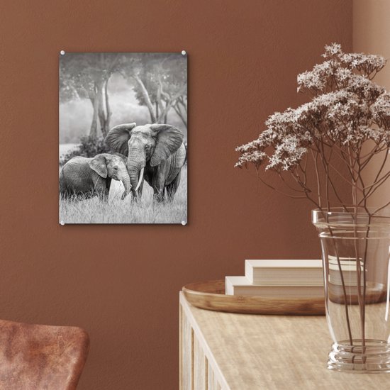 MuchoWow® Tableau en verre 30x40 cm - Peinture sur verre acrylique - Éléphant - Animaux - Nature - Noir et blanc - Photo sur verre - Tableaux