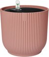 Delicaat Roze