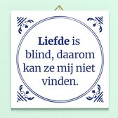 Ditverzinjeniet.nl Tegeltje Liefde Is Blind