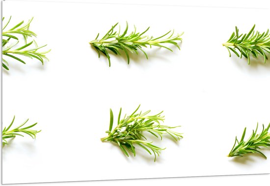 Acrylglas - Groen - Wit - Plantjes - Bladeren - Natuur - 150x100 cm Foto op Acrylglas (Wanddecoratie op Acrylaat)