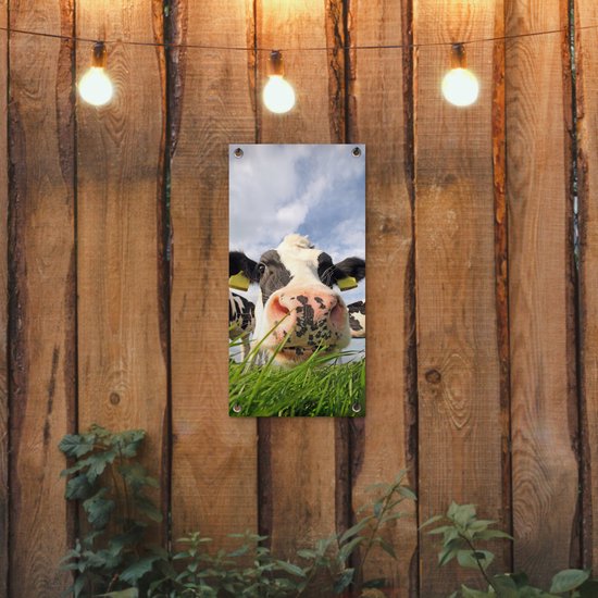Poster de jardin Vache - Ferme - Herbe - Animaux - 30x60 cm - Toile jardin - Poster extérieur