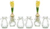 Duidelijke glazen vazen voor bloemen met zijden touw, 6 stuks moderne hyacint vazen Bud avocado vaas edelwickenvaas voor hydrocultuur planten narcissen orchideeën voor desktop tafel binnenvensterbank decoratie