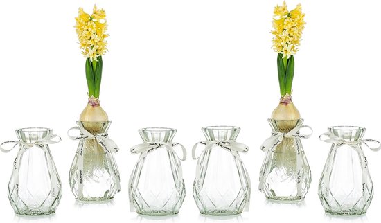 Duidelijke glazen vazen voor bloemen met zijden touw, 6 stuks moderne hyacint vazen Bud avocado vaas edelwickenvaas voor hydrocultuur planten narcissen orchideeën voor desktop tafel binnenvensterbank decoratie