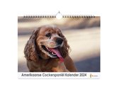 Huurdies - Amerikaanse Cockerspaniël Kalender - Jaarkalender 2024 - 35x24 - 300gms