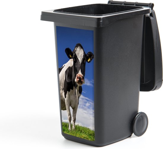 Zwarte en witte koe op groen gras, tegen een blauwe lucht, op een zwarte container.