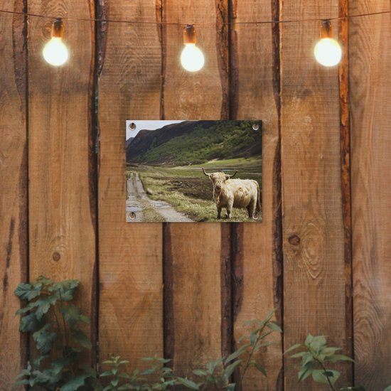Décoration de Jardin Highlander écossais - Chemin - Forêt - 40x30 cm - Toile de jardin - Poster extérieur