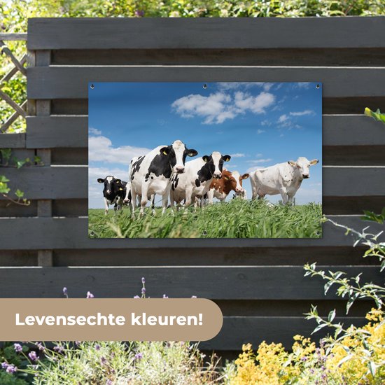 Affiche jardin - Toile jardin - Affiches jardin extérieur - Vaches - Campagne - Pâturage - Nature - Animaux - Posters de jardin cm - Jardin