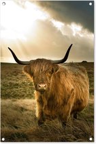 Tuinposters buiten Schotse Hooglander - Zon - Dieren - 60x90 cm - Tuindoek - Buitenposter