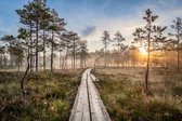 Fotobehang Houten Pad In Het Bos - Vliesbehang - 460 x 300 cm