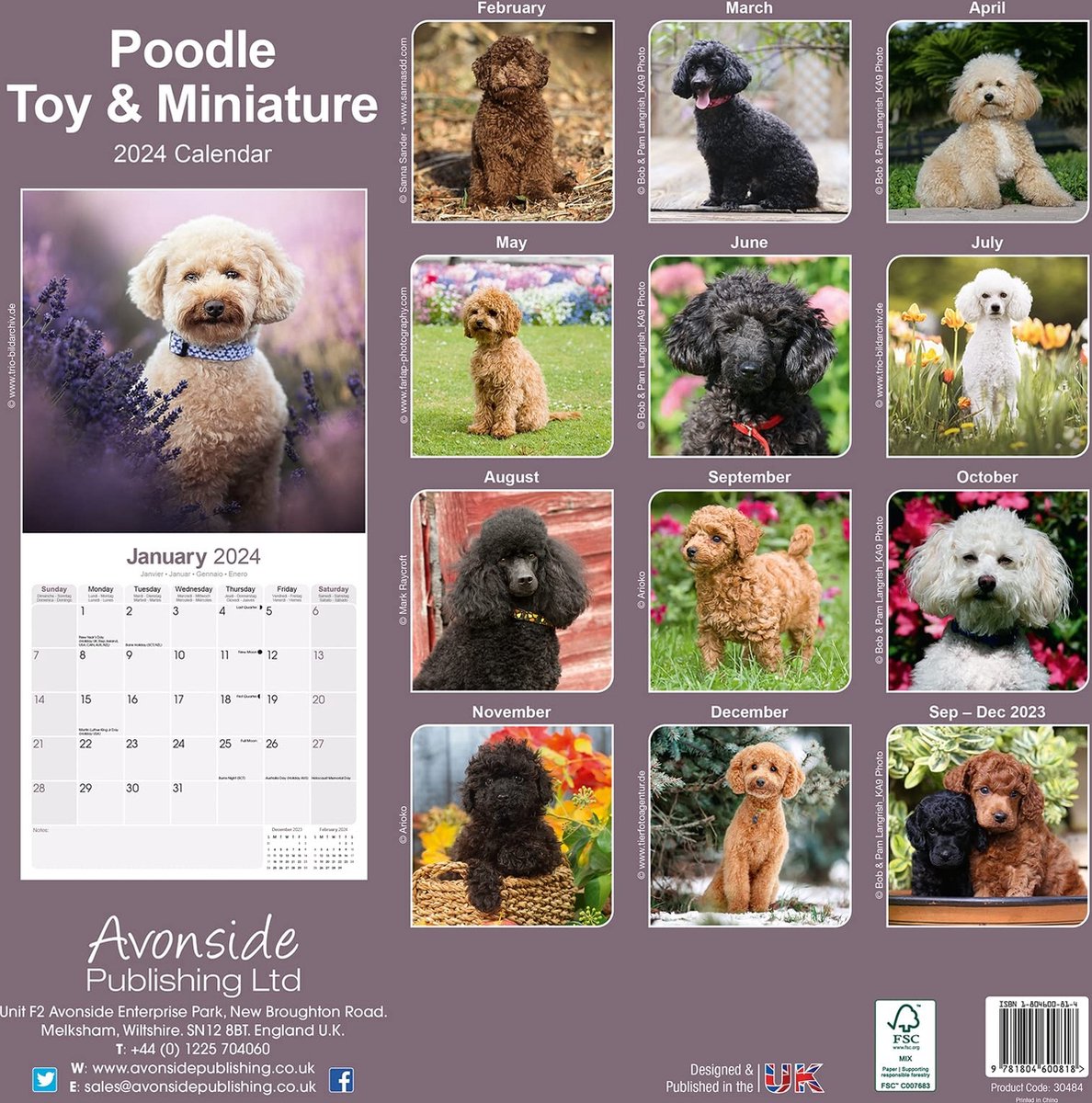 Poedel Toy en Miniatuur Kalender 2024