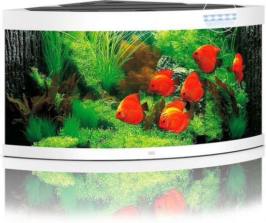 Juwel Aquarium Trigon 350 Led 87x87x65 cm – Aquaria – Wit