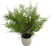 Kunstplant Asparagus 43 cm in sierpot