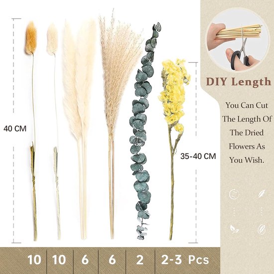 M METERXITY 12 stuks gedroogde geperste bloemen en bladeren