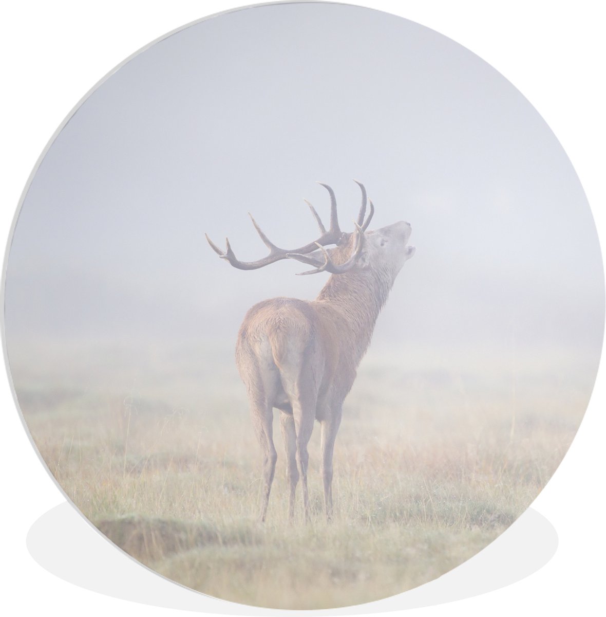 WallCircle Wandcirkel 140x140 cm - Muurcirkel Hert - Gras - Mist - Muurdecoratie woonkamer - Wanddecoratie slaapkamer - Kamer decoratie accessoires - Ronde schilderijen Multicolor