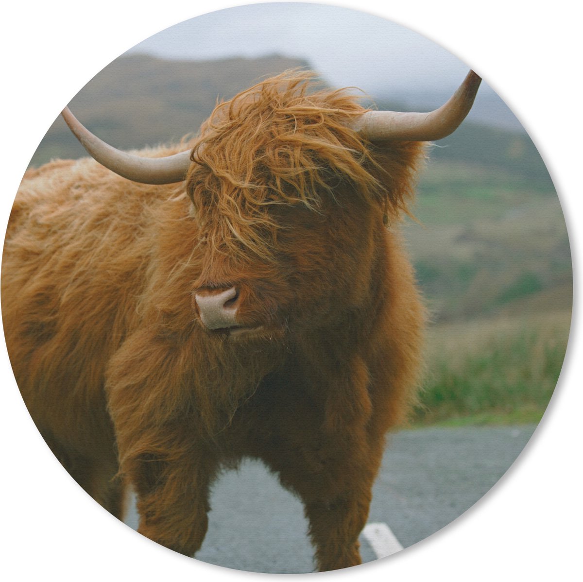 Muismat rond 40x40 cm - Mousepad Schotse Hooglander - Berg - Weg - Ronde muismatten