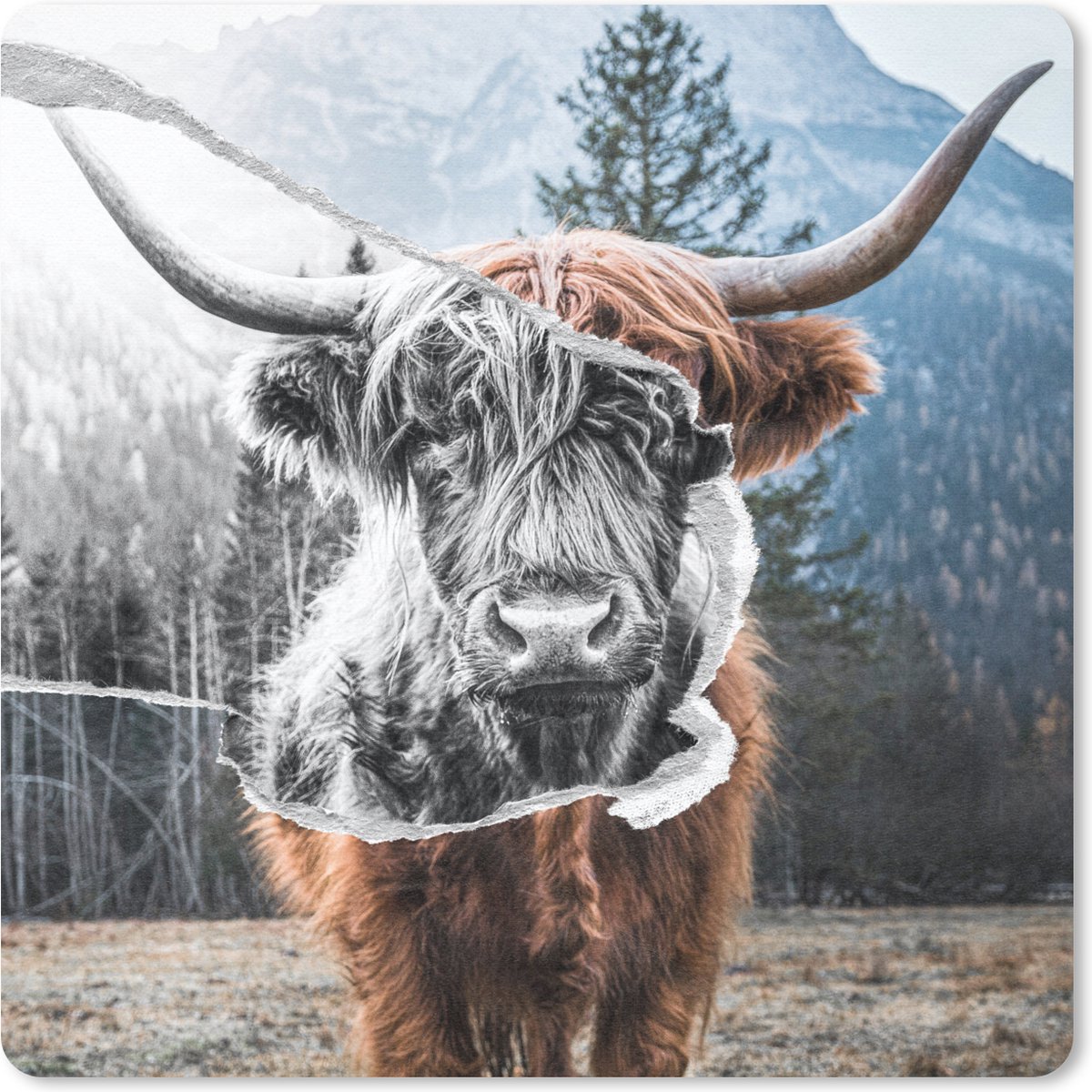 Muismat 30x30 cm - Mousepad Dieren - Schotse Hooglander - Stier - Muismatten