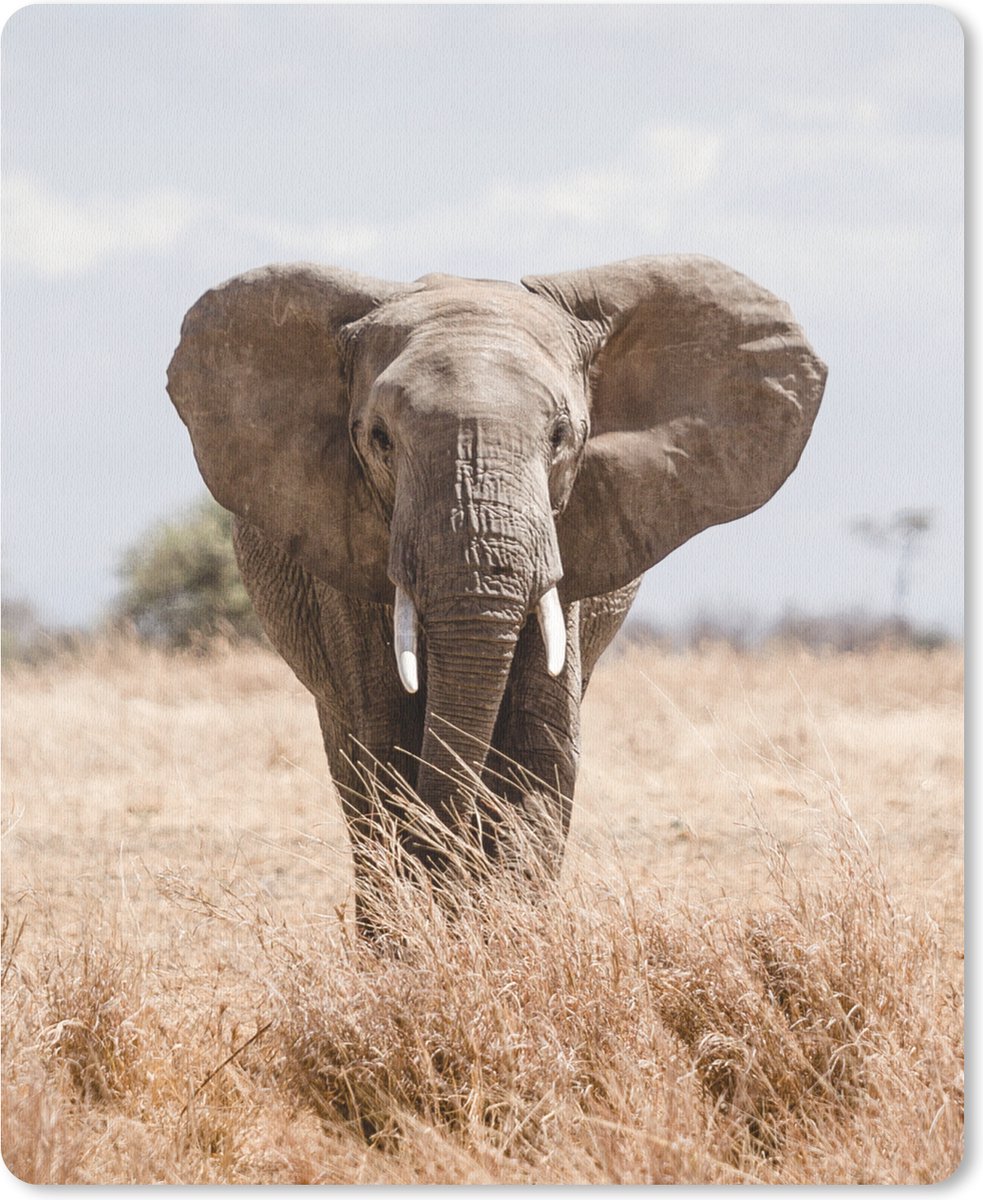Muismat 19x23 cm - Mousepad Olifant - Natuur - Dieren - Portret - Muismatten