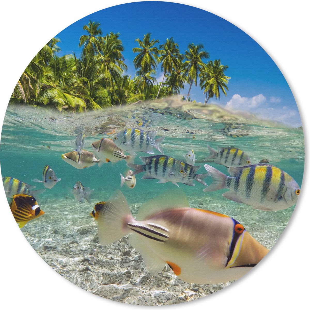 Muismat rond 50x50 cm - Mousepad Strand - Vissen - Tropisch - Ronde muismatten