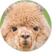 Muismat - Mousepad - Rond - Alpaca - Wol - Bruin - 50x50 cm - Ronde muismat