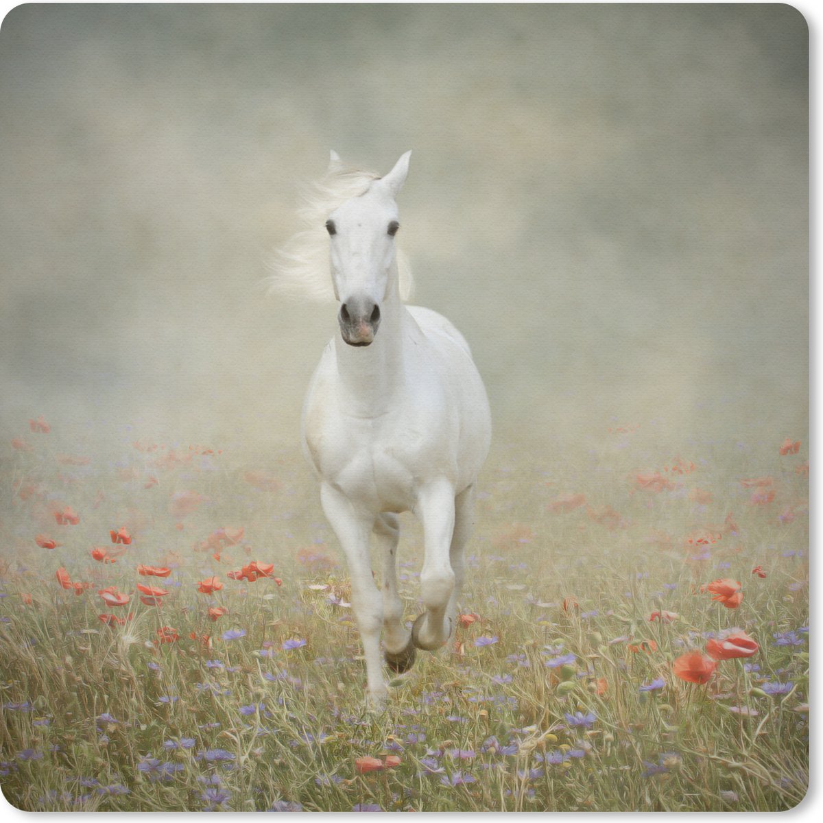 Muismat 20x20 cm - Mousepad Paard - Stof - Bloemen - Muismatten