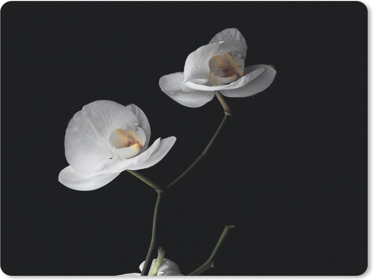 Muismat 23x19 cm - Mousepad Orchidee - Bloemen - Zwart - Wit - Stilleven - Muismatten