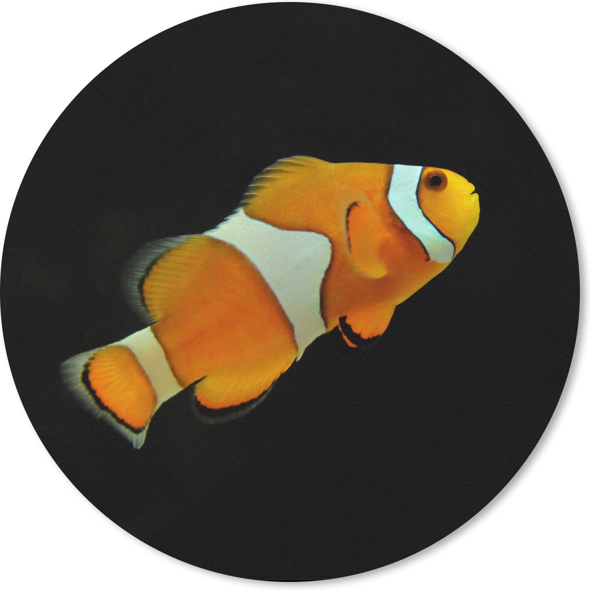 Muismat rond 30x30 cm - Mousepad Vis - Lijn - Zwart - Ronde muismatten