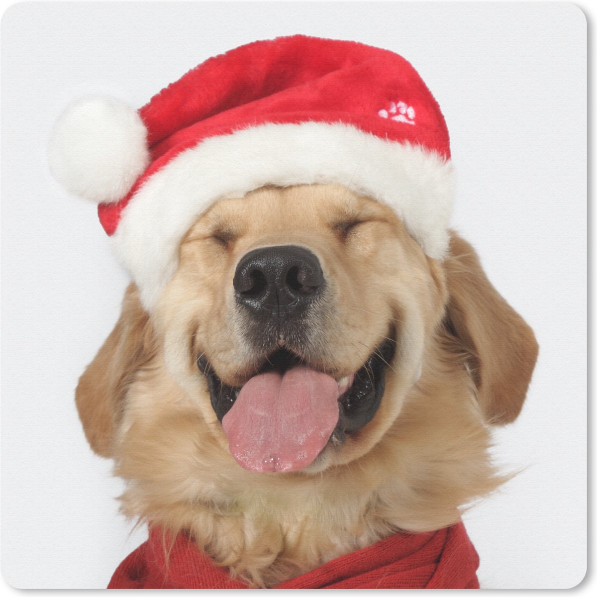 Muismat 20x20 cm - Mousepad Hond - Grappig - Lachen - Kinderen - Jongens - Meisjes - Muismatten