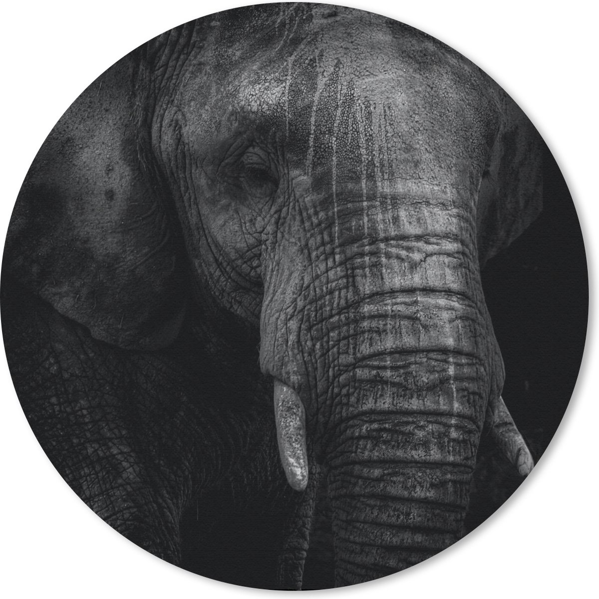 Muismat rond 20x20 cm - Mousepad Olifant - Dier - Portret - Ronde muismatten