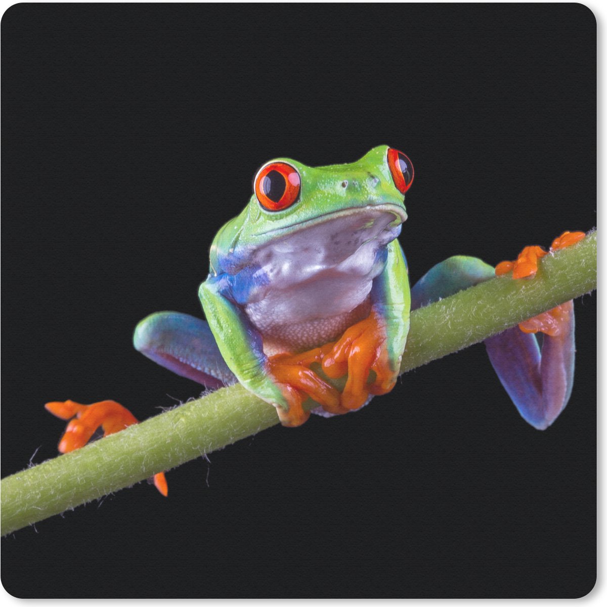 Muismat 20x20 cm - Mousepad Kikker - Plant - Zwart - Muismatten