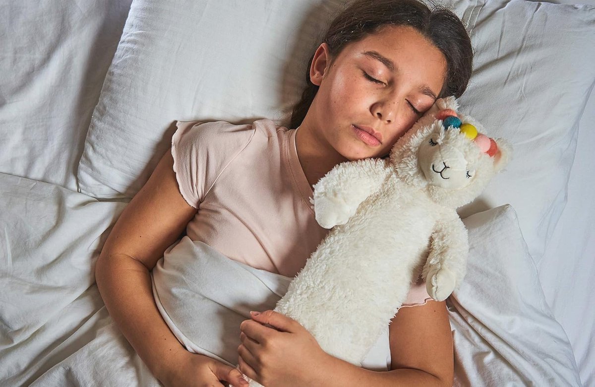 3D Warmwaterkruik Lama - Knuffel en Comfort voor Iedereen
